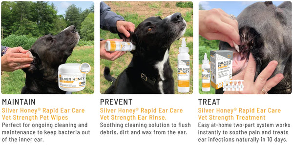 Silver Honey Rapid Ear Care Vet Strength Pet Wipes