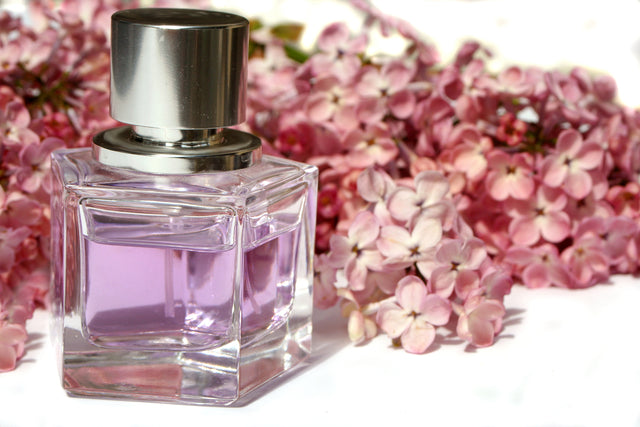 https://shop.mcgregorgeneralstore.com/cdn/shop/collections/bigstock-Lilac-Perfume-539766.jpg?v=1568233252&width=640