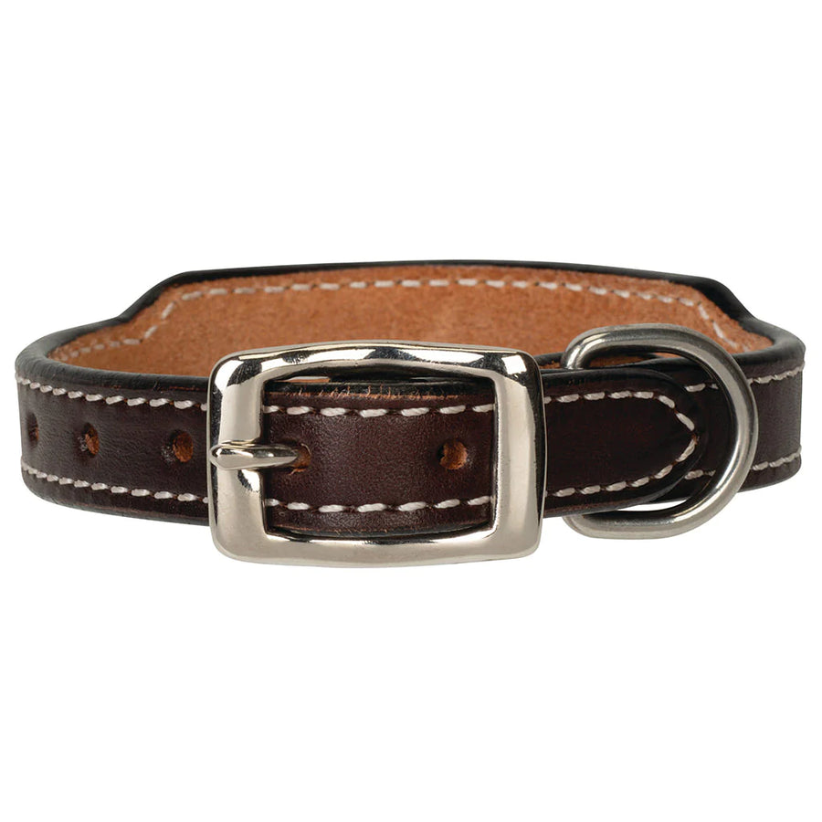 Weaver Leather Painted Cactus Leather Collar