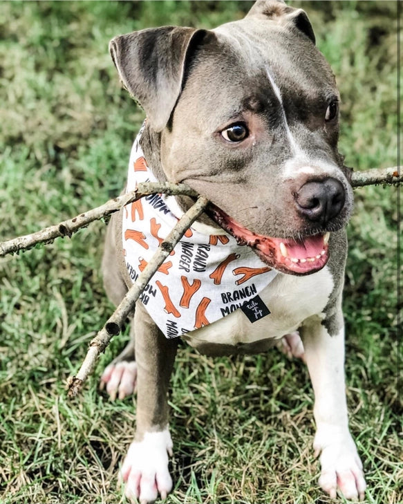 Tails Up, Pup Dog Bandanas