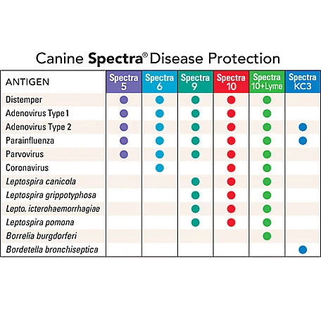 Durvet Canine Spectra® 10 PLUS LYME Vaccine