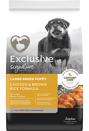 Exclusive Signature Large Breed Puppy Chicken & Brown Rice Formula