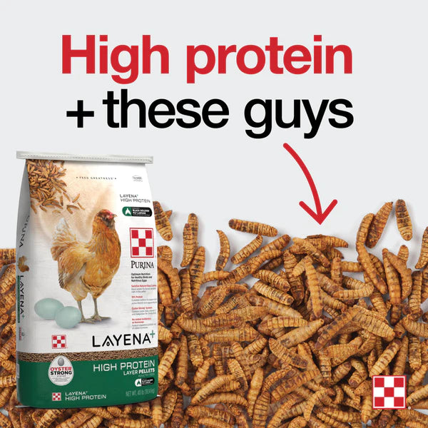 Purina® Layena®+ High Protein Layer Feed