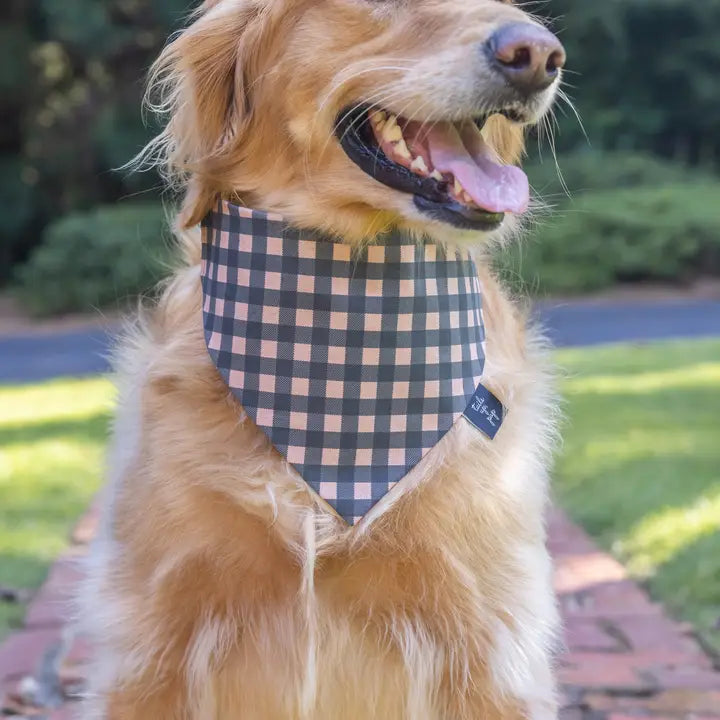 Tails Up, Pup Dog Bandanas