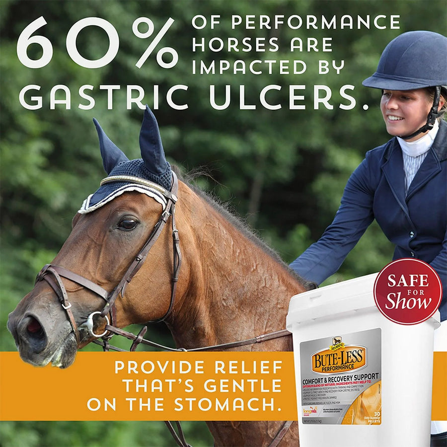 Absorbine Bute-Less® Performance Comfort & Recovery Supplement Pellets