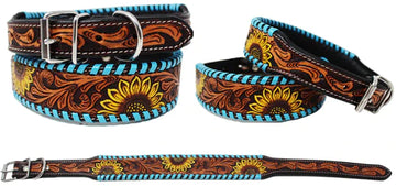 Western Tooled Padded Leather Collar - Sunflower w/ Turquoise Buckstitch