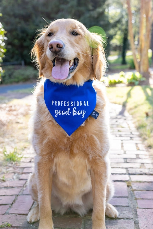 Tails Up, Pup Dog Bandanas