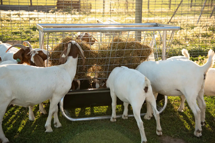 Behlen 5′ Galvanized Sheep Bunk & Hay Rack