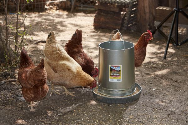 Little Giant 30-Pound Hanging Metal Poultry Feeder