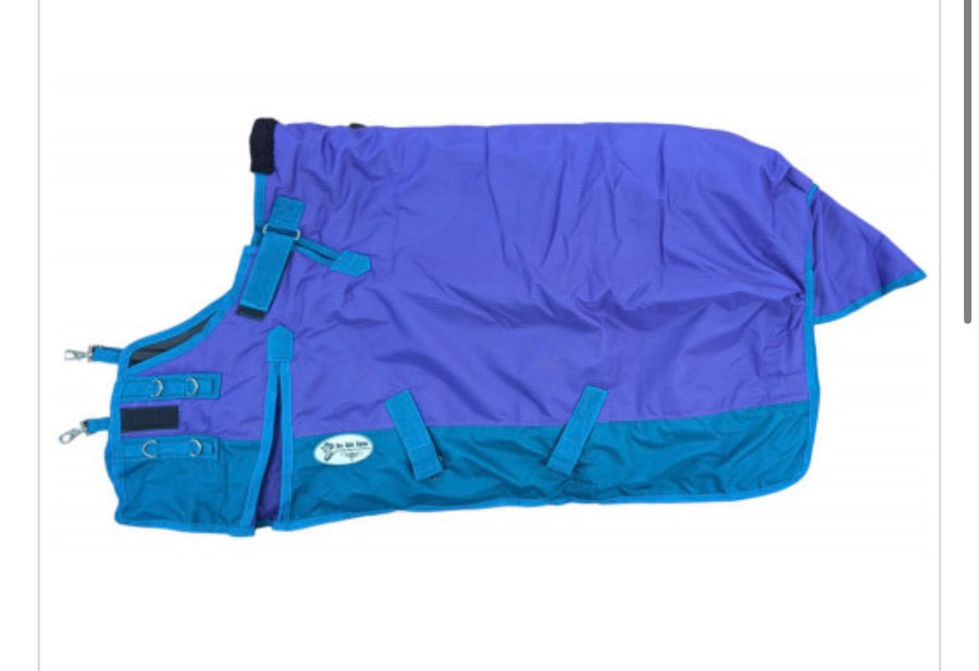San Saba Asst. Horse Turnout Blanket