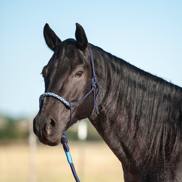 Classic Equine 3-Tone Rope Halter with Leadrope