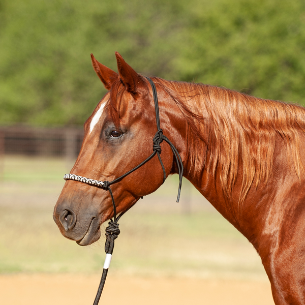 Classic Equine 3-Tone Rope Halter with Leadrope