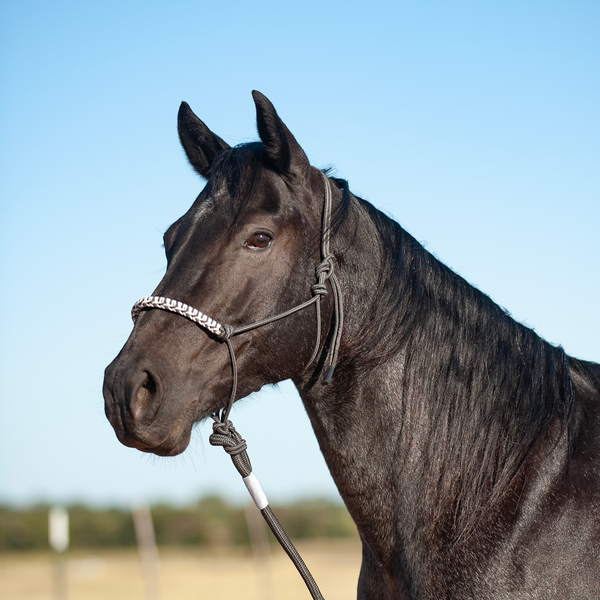 Classic Equine 3-Tone Rope Halter with Leadrope