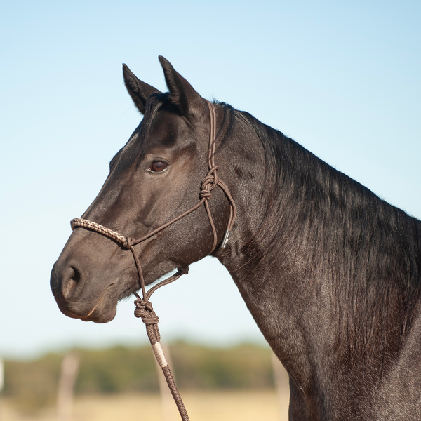 Classic Equine 3-Tone Rope Halter with Leadrope