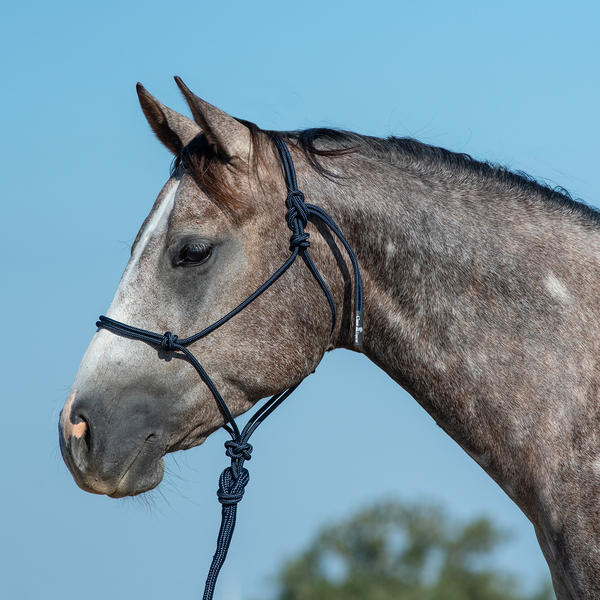 Classic Equine Rope Halter and 9' Lead Rope