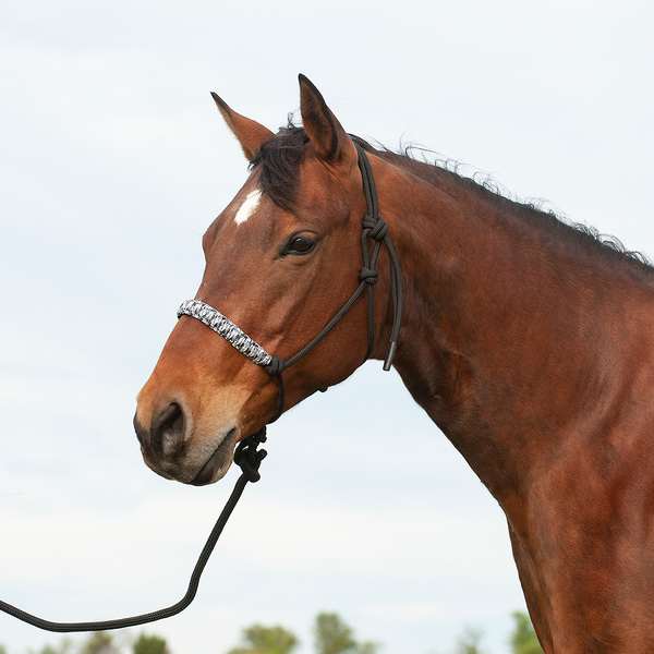 Cashel Braided Rope Halter & Leadrope