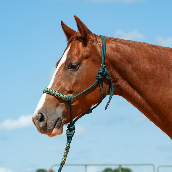 Cashel Braided Rope Halter & Leadrope