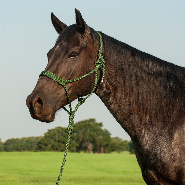 Cashel Flat Braid Halter & Leadrope