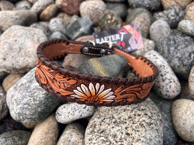 Rafter T Ranch Co. Painted Daisy Dog Collar