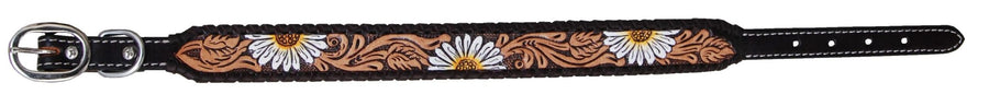 Rafter T Ranch Co. Painted Daisy Dog Collar