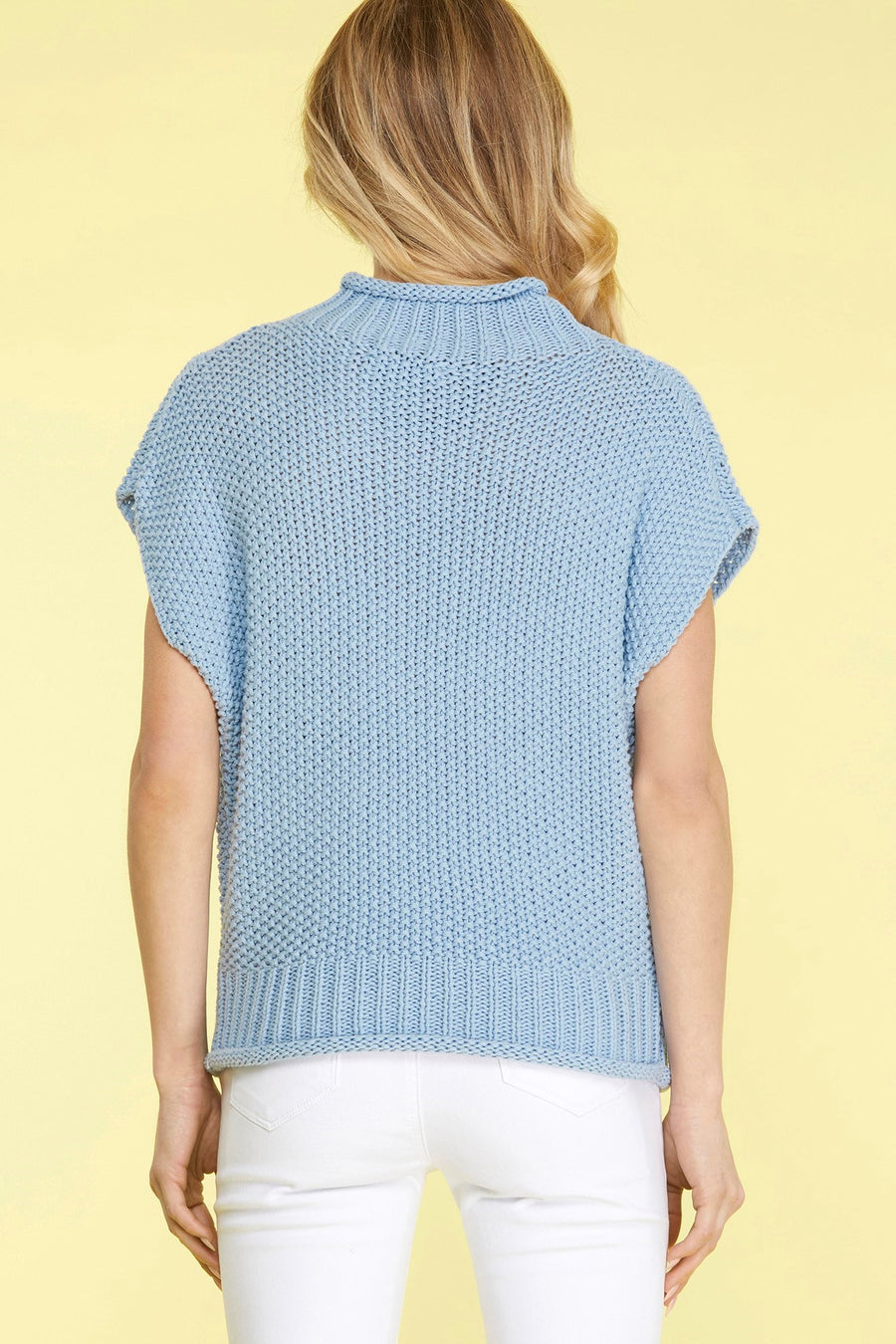 Petra Sleevless Mock Neck Knit Baby Blue Sweater Vest