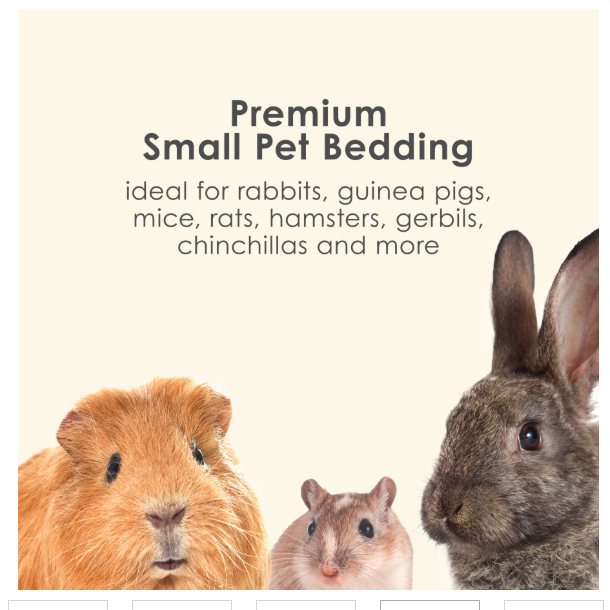 Kaytee Clean & Cozy Colors Bedding Sunset