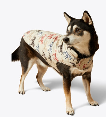 Ariat Pup Puffer Jacket Painted Ponie