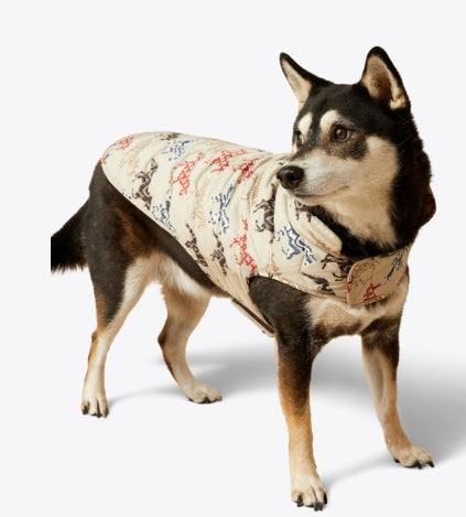 Ariat Pup Puffer Jacket Painted Ponie