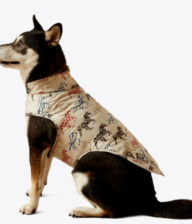 Ariat Pup Puffer Jacket Painted Ponie