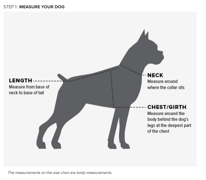 Ariat Team Dog Jacket Thornstone