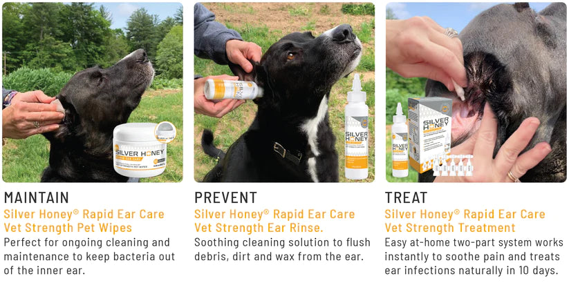 Absorbine Silver Honey Rapid Ear Care Ear Treatment