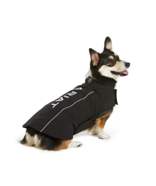 Ariat Pup Softshell Dog Jacket Black