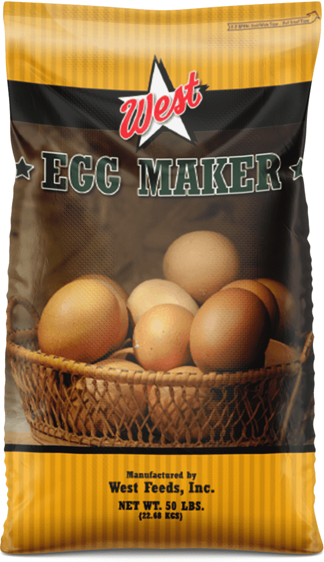 West Feeds Egg Maker