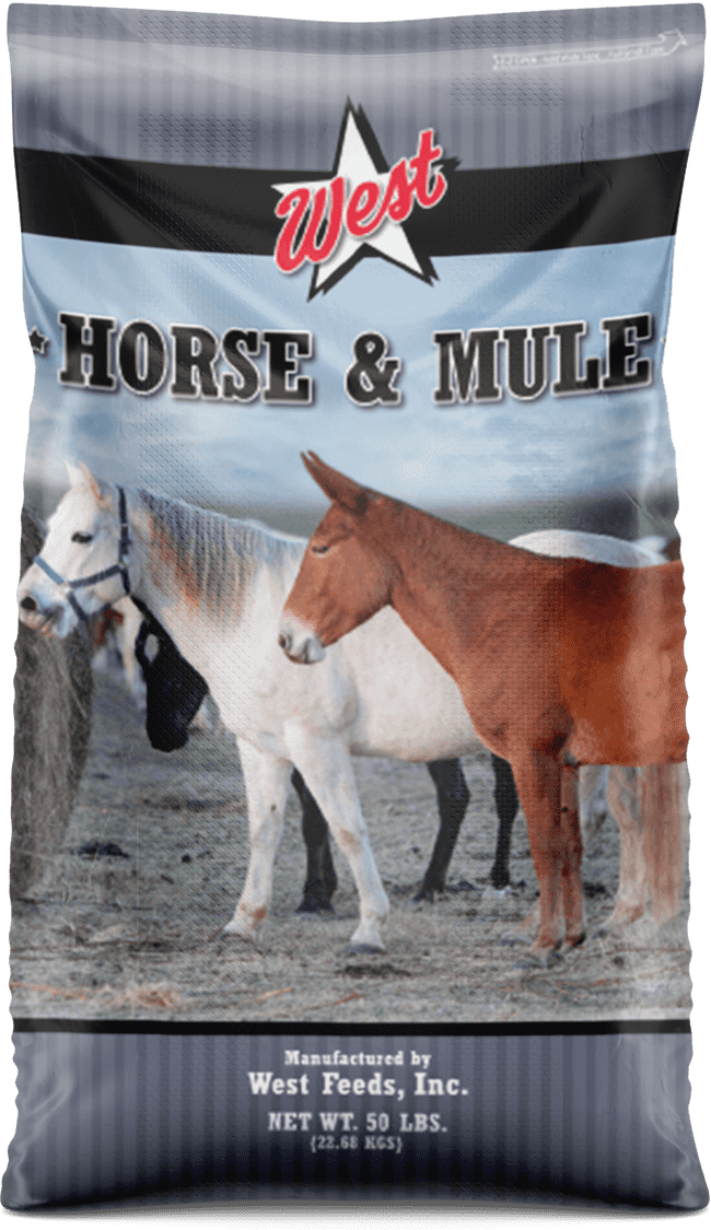 West Horse & Mule 10% Textured