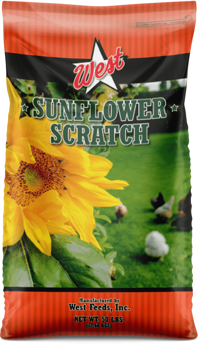 West Feeds Sunflower Scratch