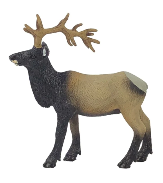 BCFT Elk
