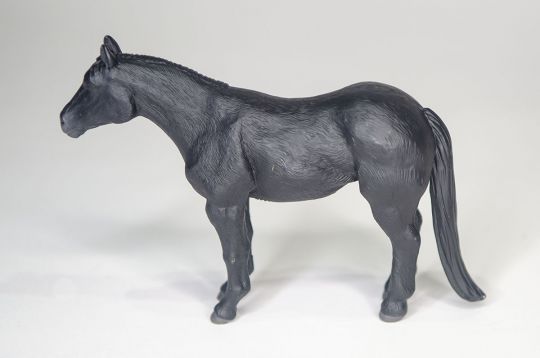 Little Buster Quarter Horse - Black