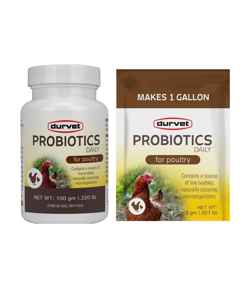 Daily Probiotics for Poultry