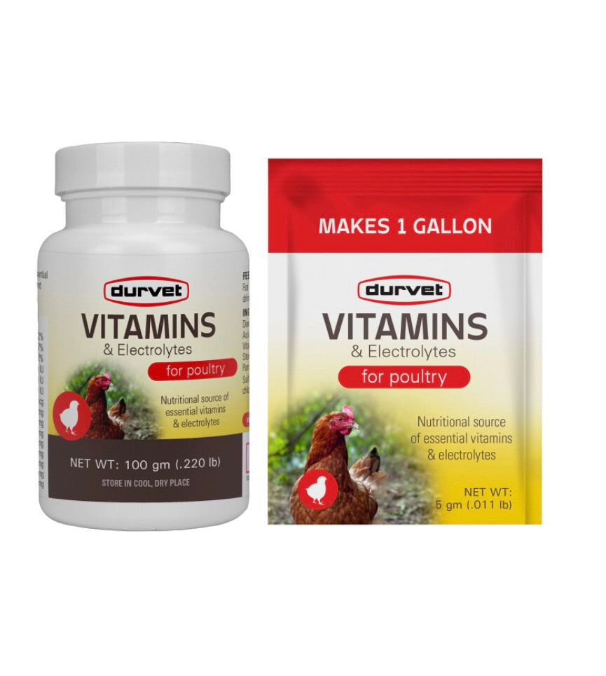 Vitamins & Electrolytes for Poultry